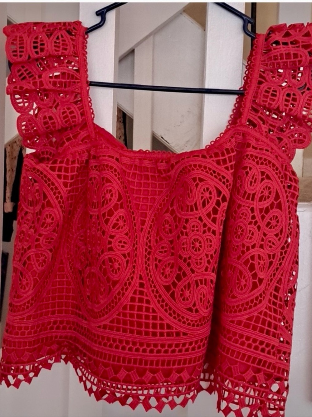 Endless Rose Red Lace Cropped Tank Top